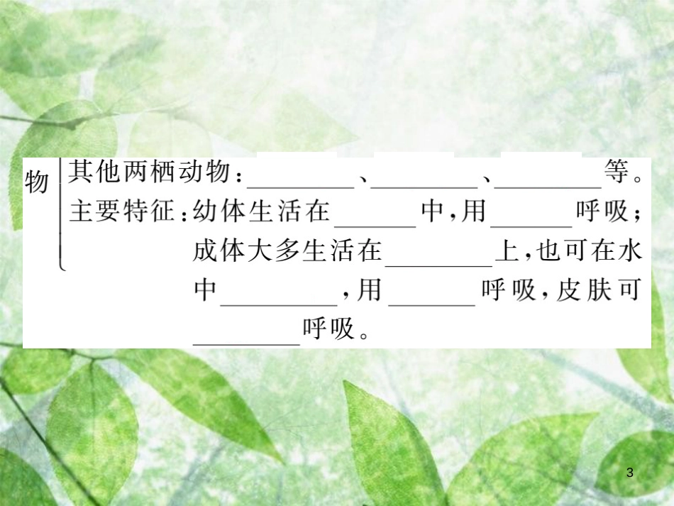 八年级生物上册 第五单元 第一章 第五节 两栖动物和爬行动物（第1课时 两栖动物）习题优质课件 （新版）新人教版_第3页