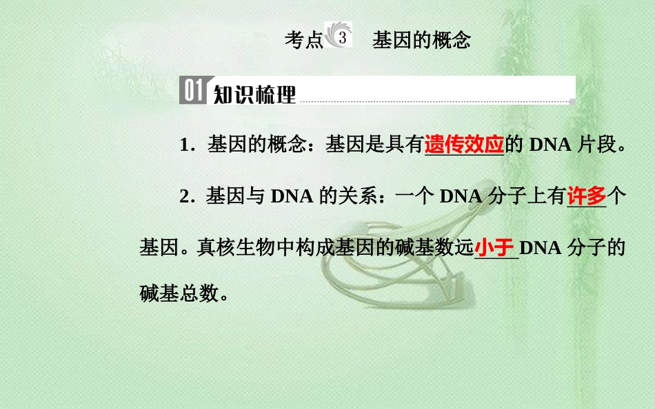 高中生物学业水平复习 专题七 遗传的分子基础 考点3 基因的概念优质课件_第1页