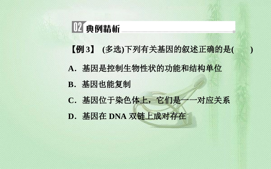 高中生物学业水平复习 专题七 遗传的分子基础 考点3 基因的概念优质课件_第3页