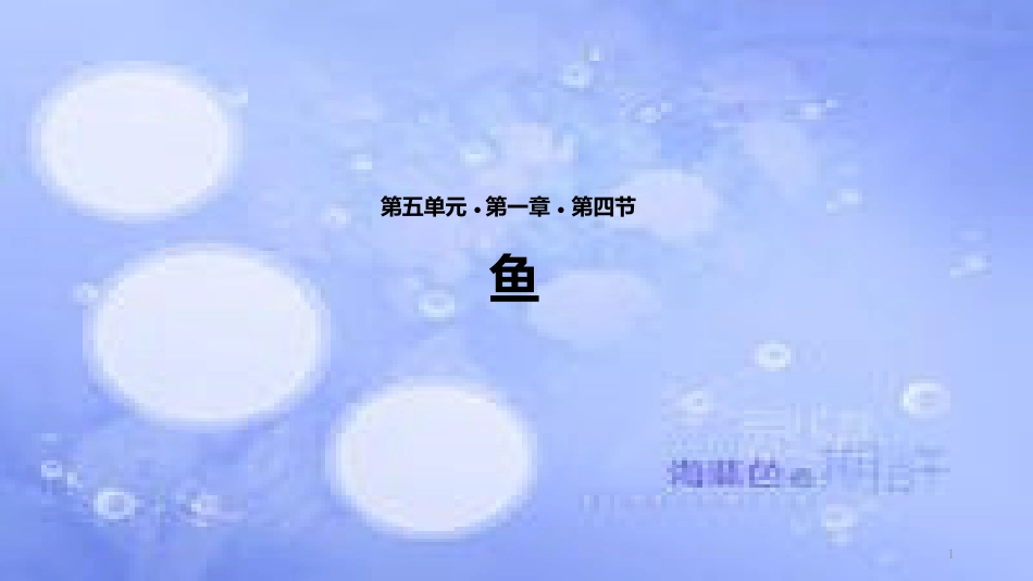 八年级生物上册 5.1.4《鱼》教学课件 （新版）新人教版_第1页