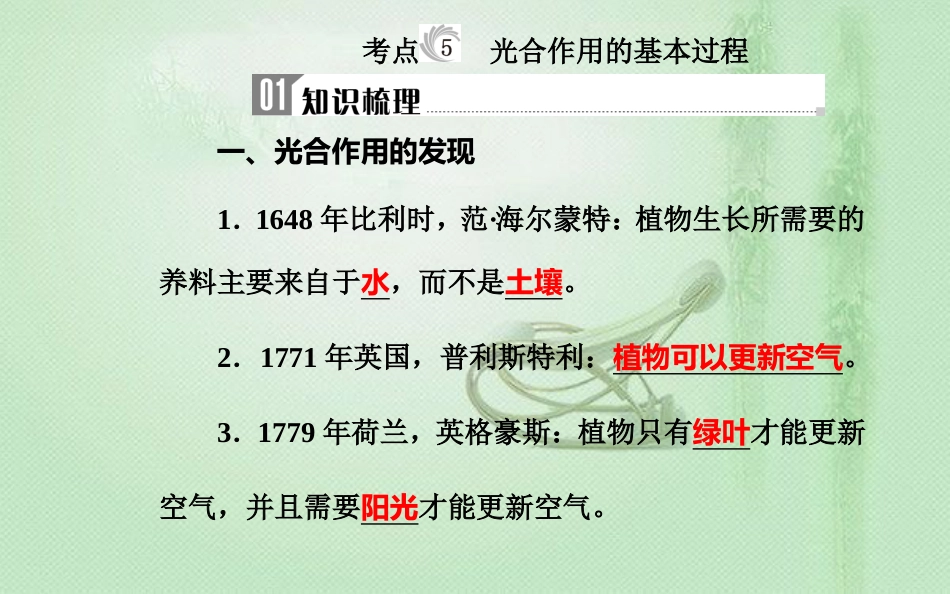 高中生物学业水平复习 专题三 细胞代谢 考点5 光合作用的基本过程优质课件_第2页