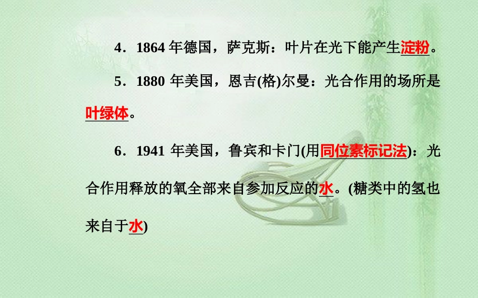 高中生物学业水平复习 专题三 细胞代谢 考点5 光合作用的基本过程优质课件_第3页