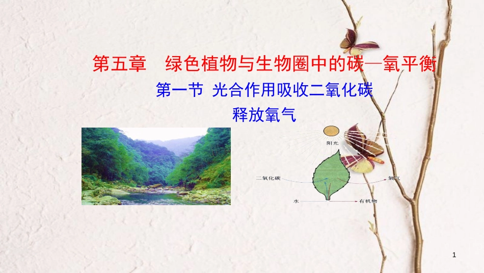 七年级生物上册 第三单元 第五章 第一节《光合作用吸收二氧化碳释放氧气》课件 （新版）新人教版[共16页]_第1页