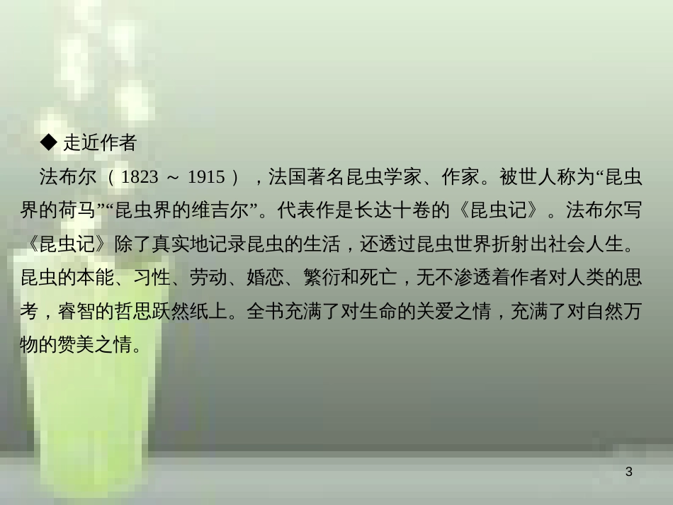 （遵义专版）八年级语文上册 第五单元 19 蝉习题优质课件 新人教版_第3页