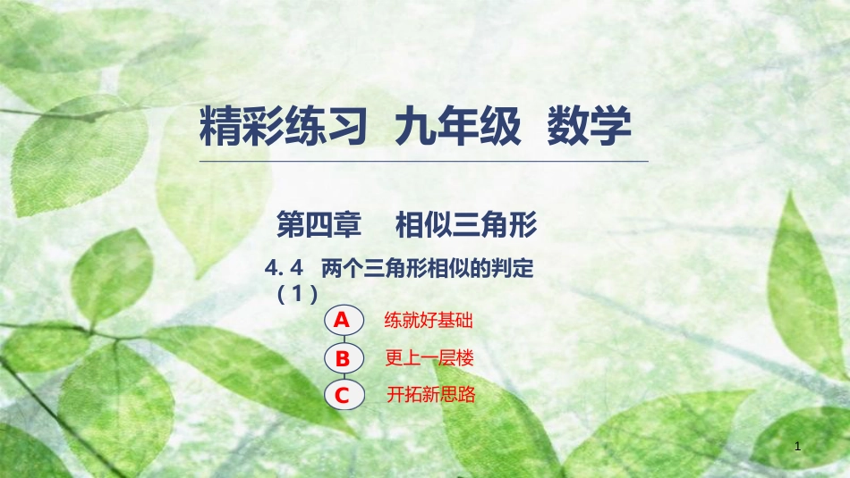 九年级数学上册 第四章 相似三角形 4.4 两个三角形相似的判定优质课件1 （新版）浙教版_第1页