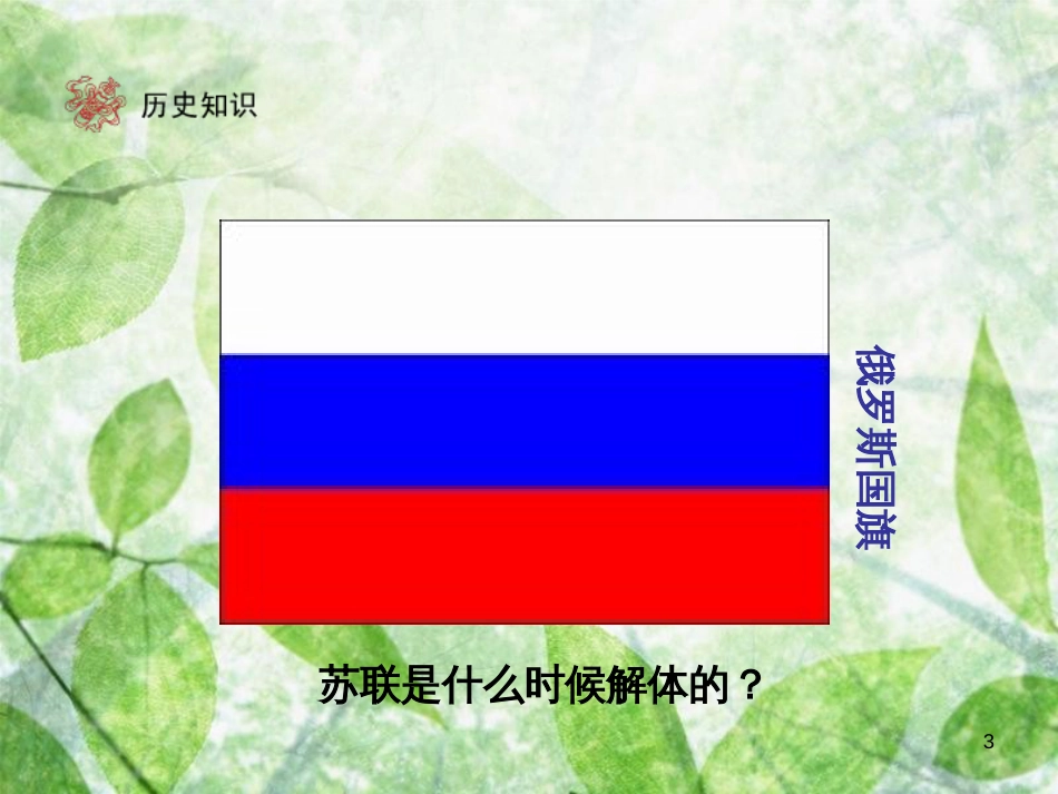 九年级历史下册 第5单元 社会主义国家的改革与演变 10 苏联的改革与解体优质课件 新人教版_第3页