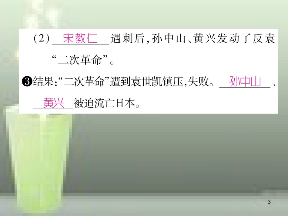 八年级历史上册 第三单元 资产阶级革命与中华民国的建立 第11课 北洋政府的黑暗统治优质课件 新人教版_第3页