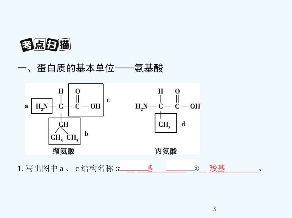 （北京专用）2019版高考生物一轮复习 第3讲 蛋白质、核酸、糖类和脂质优质课件_第3页