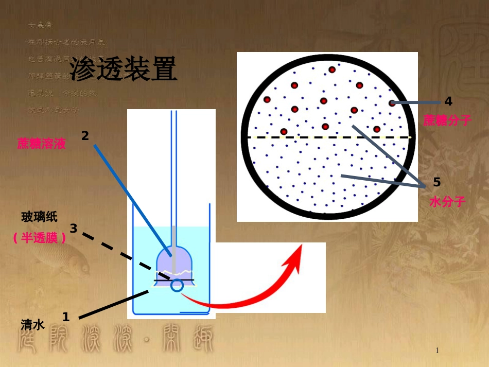 高中生物 专题4.1 物质的跨膜运输优质课件 新人教版必修1_第1页