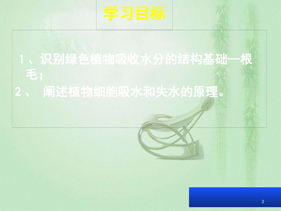 八年级生物上册 第三单元 第二章 第二节根对水分的吸收优质课件 （新版）冀教版_第2页