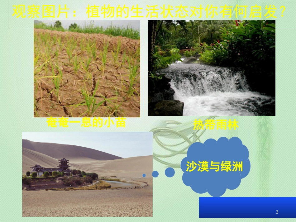 八年级生物上册 第三单元 第二章 第二节根对水分的吸收优质课件 （新版）冀教版_第3页