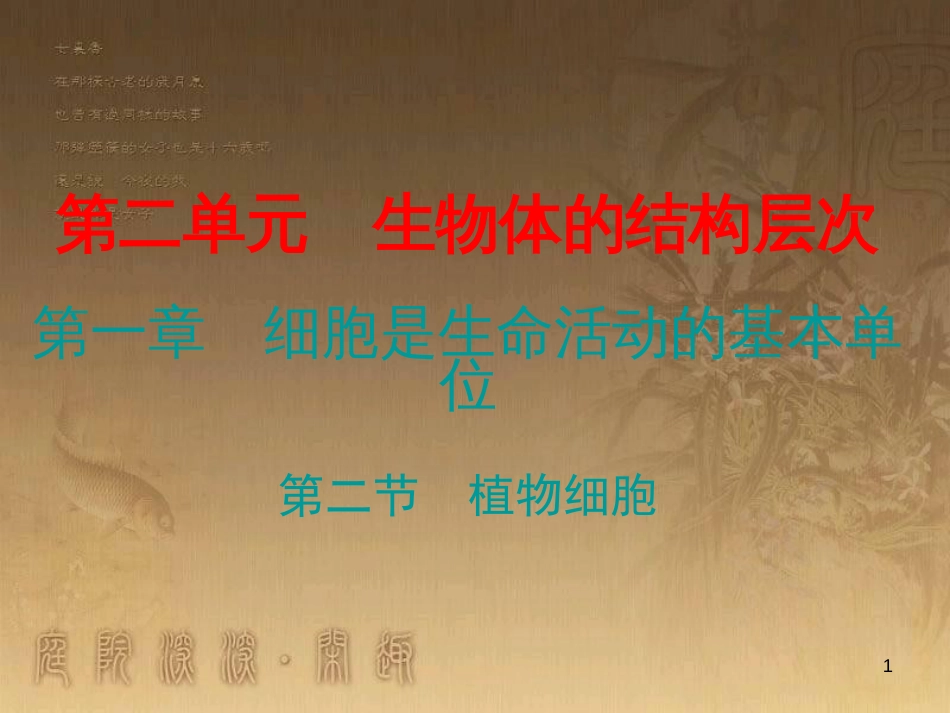 七年级生物上册 第二单元 第一章 第二节 植物细胞优质课件 （新版）新人教版_第1页