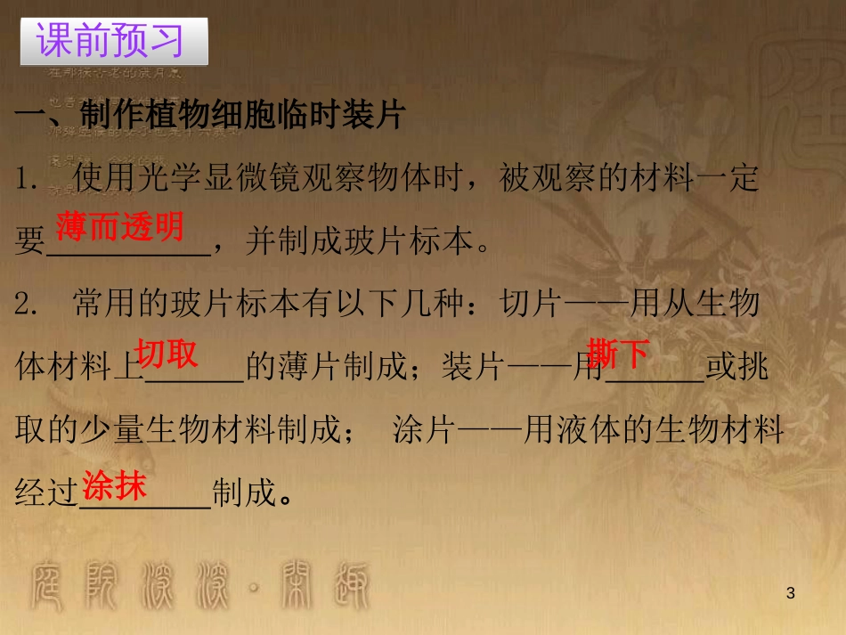七年级生物上册 第二单元 第一章 第二节 植物细胞优质课件 （新版）新人教版_第3页