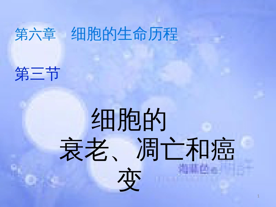 福建省寿宁县高中生物 第六章 细胞的生命历程 6.3 细胞衰老和凋亡课件 新人教版必修1_第1页