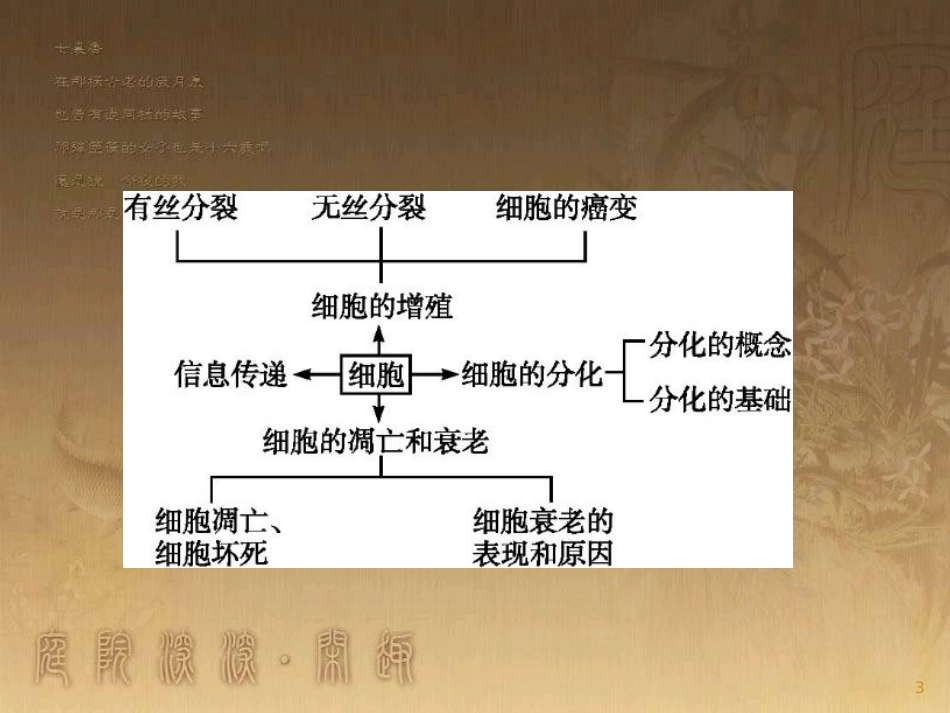 高中生物 第8章 细胞的分化、凋亡和衰老本章整合优质课件 北师大版必修1_第3页