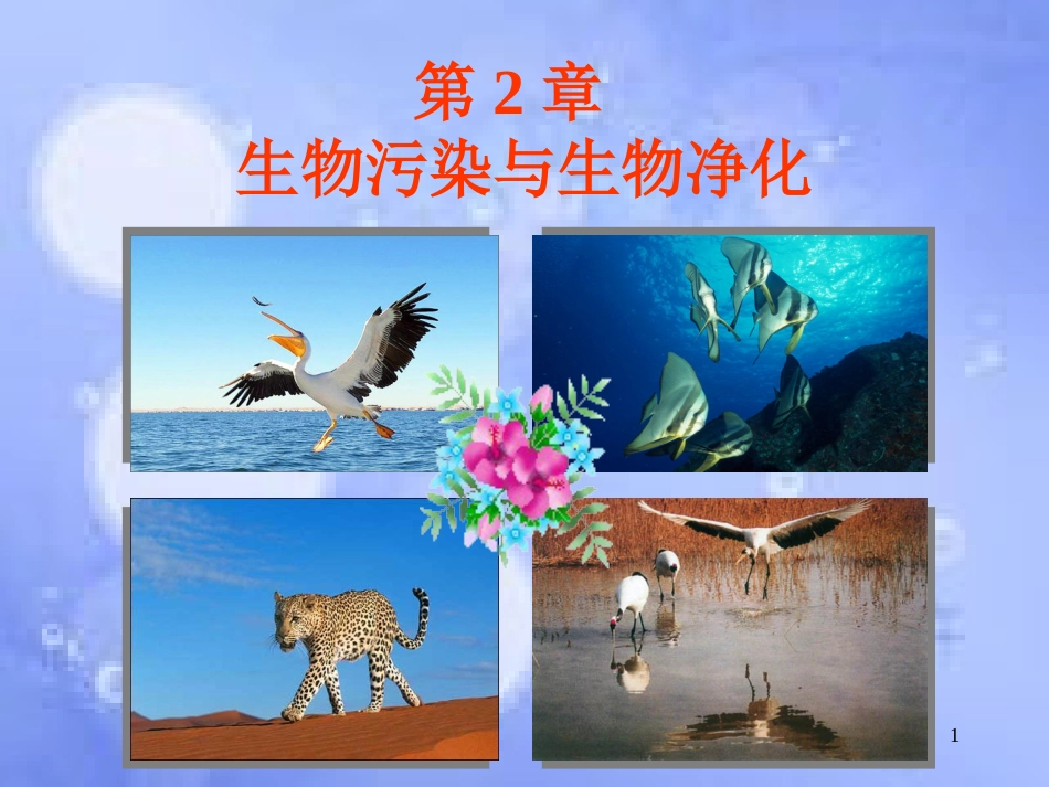 高中生物 第二单元 生物科学与环境保护 第一章 生物污染与生物净化 2.1 生物污染与生物净化（1）课件 中图版选修2_第1页