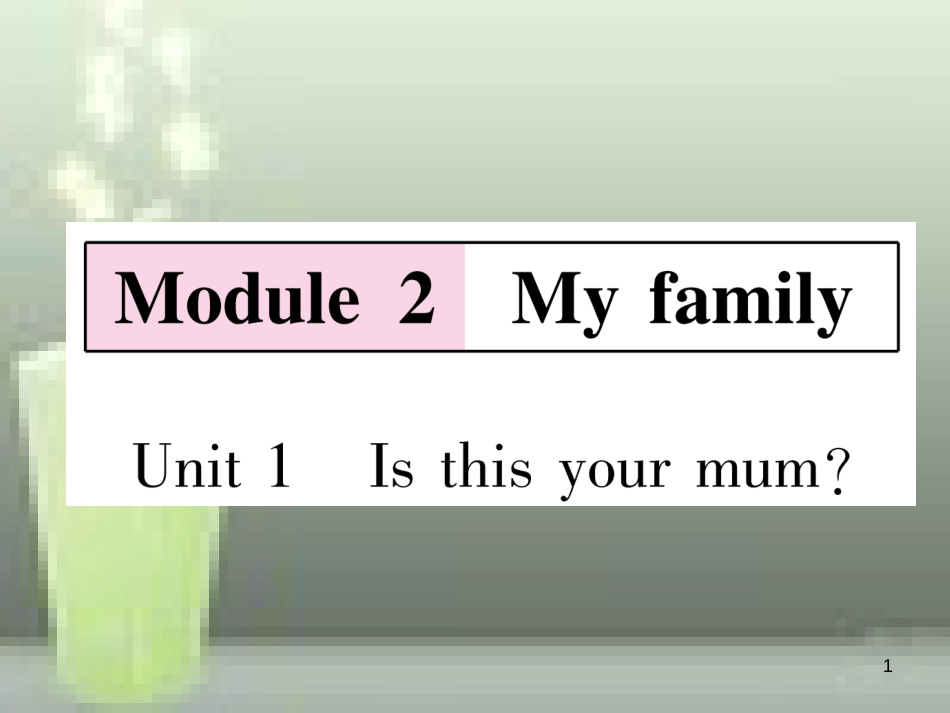 （浙江专用）七年级英语上册 Module 2 My family Unit 1 Is this your mum习题优质课件 （新版）外研版_第1页