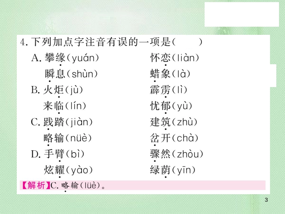 九年级语文上册 专题训练一 语音汉字与词语习题优质课件 语文版_第3页