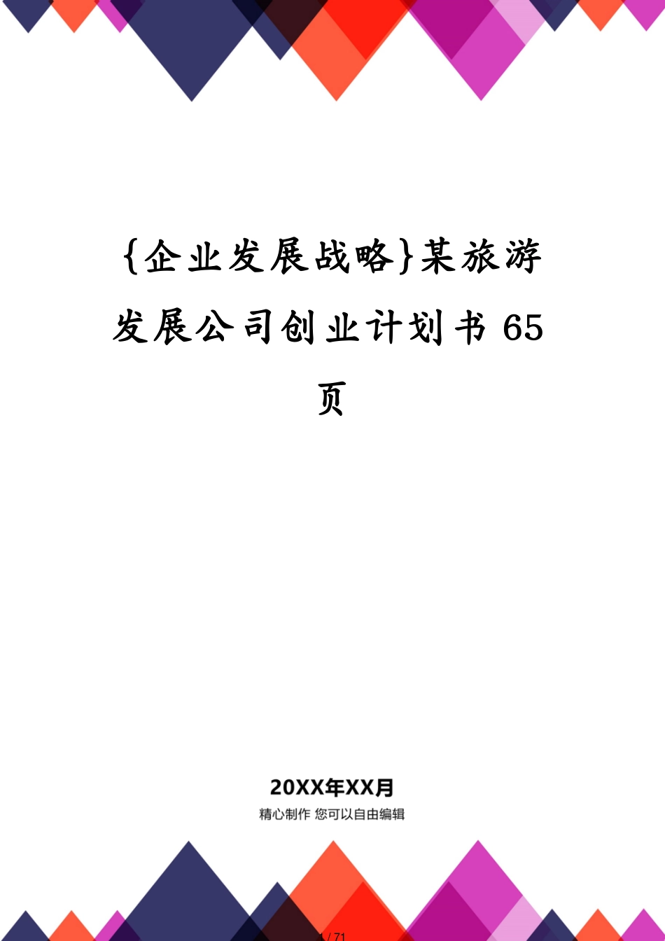 某旅游发展公司创业计划书65页_第1页