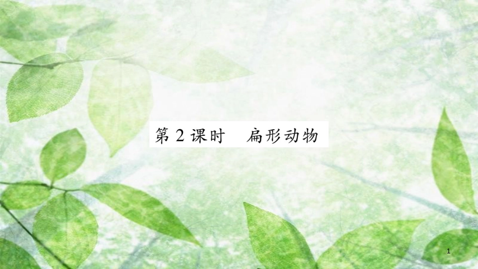 八年级生物上册 第5单元 第1章 第1节 腔肠动物和扁形动物第2课时习题优质课件 （新版）新人教版_第1页