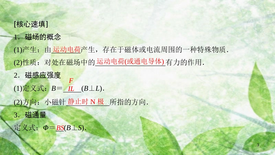 高中物理 第三章 磁场章末复习课优质课件 教科版选修3-1_第3页