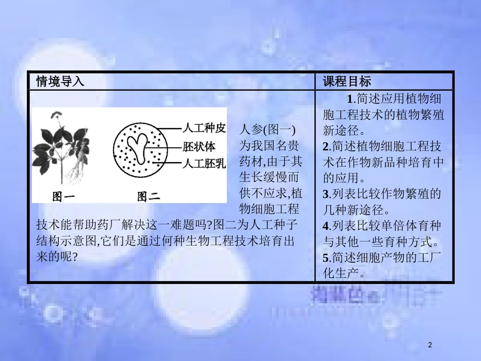 高中生物 第二章 细胞工程 2.2 植物细胞工程的应用课件 苏教版选修3[共26页]_第2页