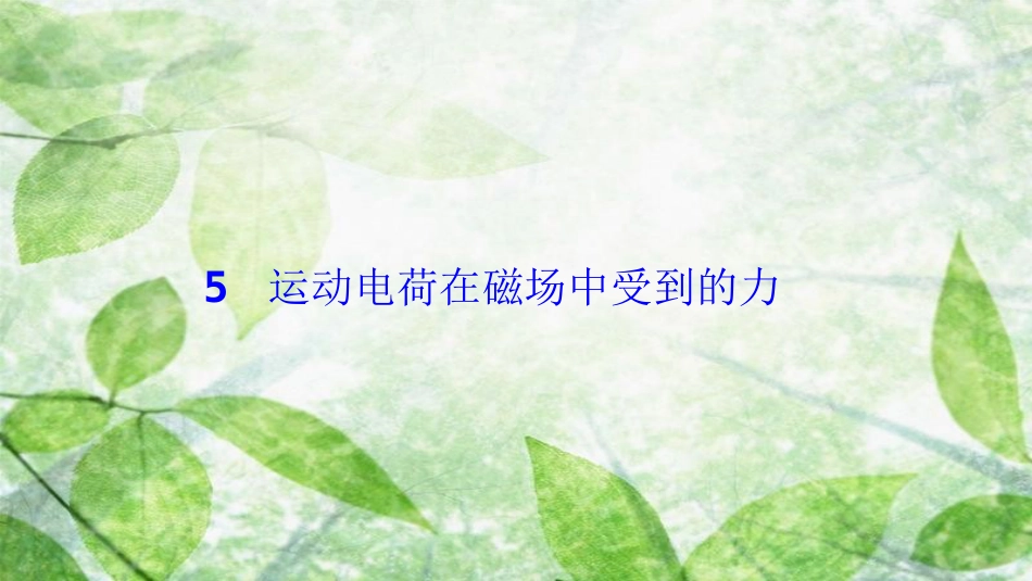 高中物理 第三章 磁场 5 运动电荷在磁场中受到的力优质课件 新人教版选修3-1_第1页