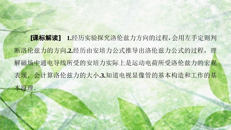 高中物理 第三章 磁场 5 运动电荷在磁场中受到的力优质课件 新人教版选修3-1_第2页