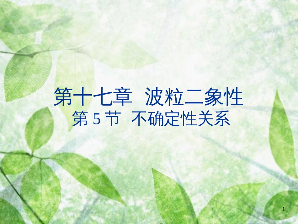 高中物理 第十七章 波粒二象性 17.5 不确定性关系优质课件 新人教版选修3-5_第1页