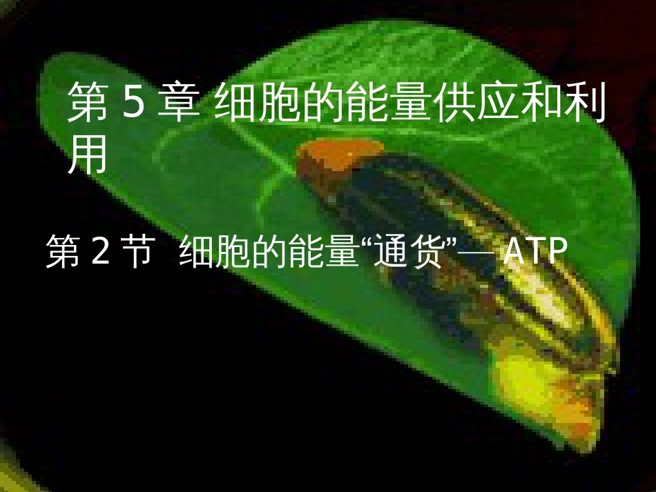 福建省永安市高中生物 第五章 细胞的能量供应和利用 5.2 细胞的能量通货-ATP课件 新人教版必修1_第1页