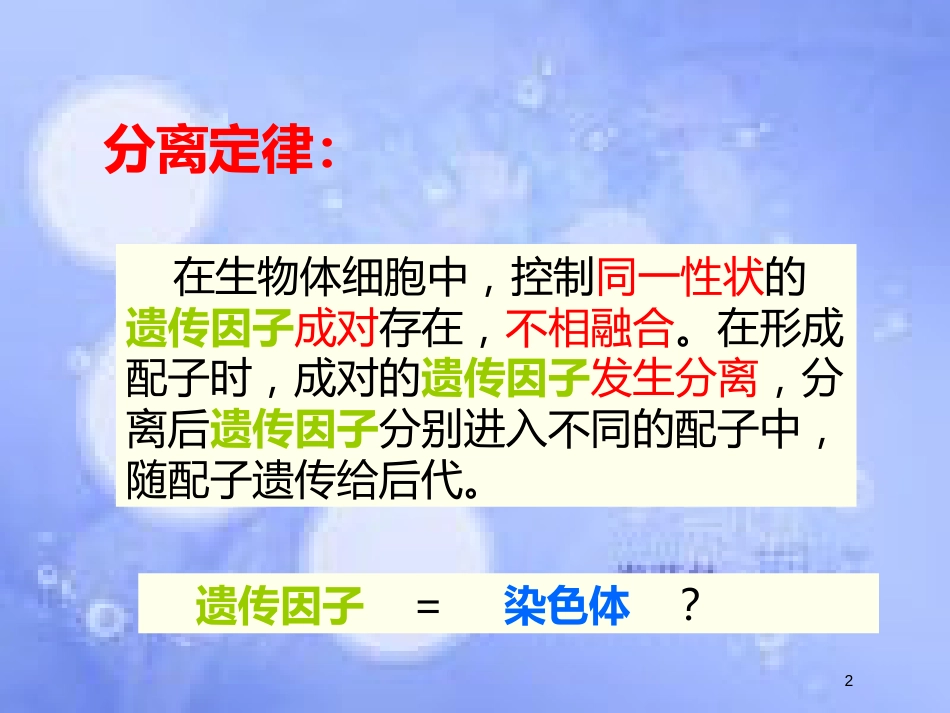 福建省寿宁县高中生物 第二章 基因和染色体的关系 2.2 基因在染色体上课件 新人教版必修2_第2页