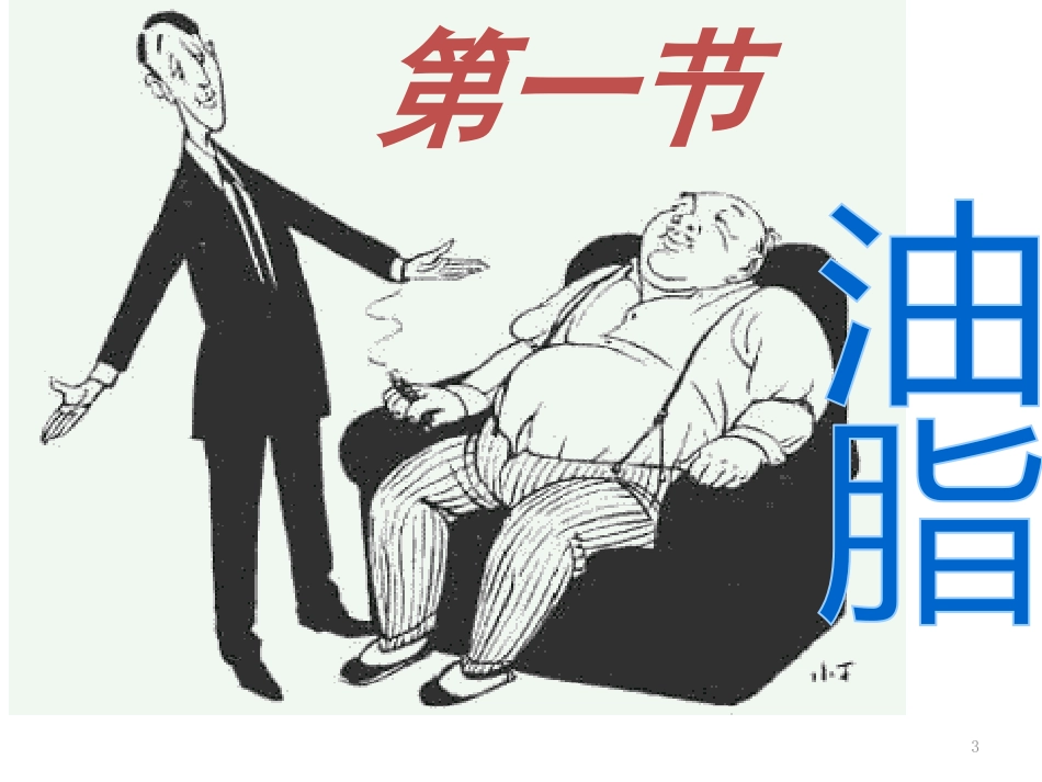 高中化学 第四章 生命中的基础有机化学物质 4.1.2 油脂优质课件 新人教版选修5_第3页