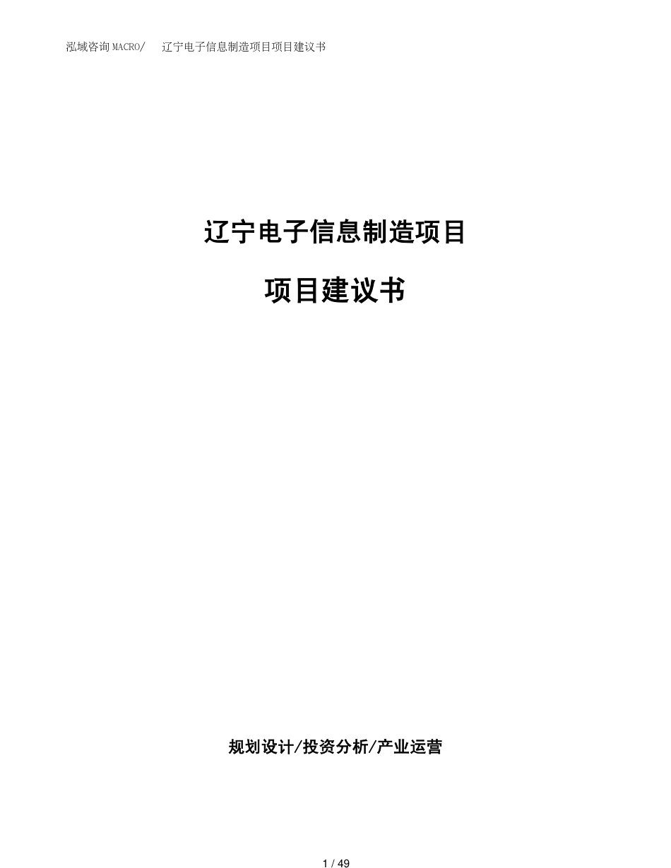 辽宁电子信息制造项目项目建议书(1)_第1页