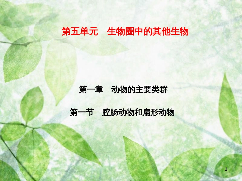 八年级生物上册 第5单元 第1章 第1节 腔肠动物和扁形动物习题优质课件 （新版）新人教版_第1页