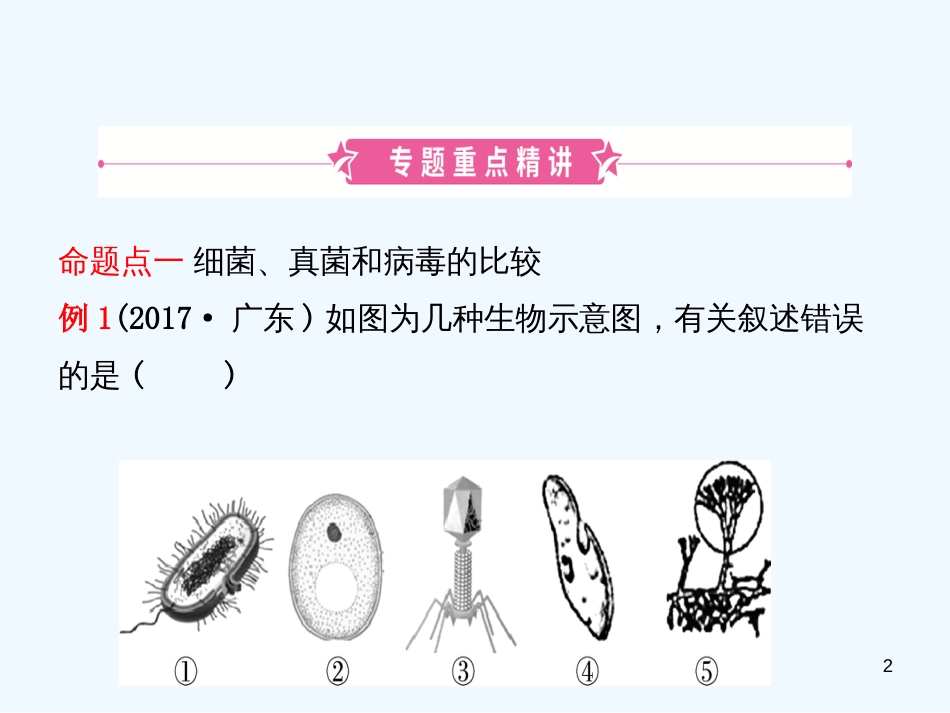 （东营专版）2019年中考生物 专题十一复习优质课件_第2页