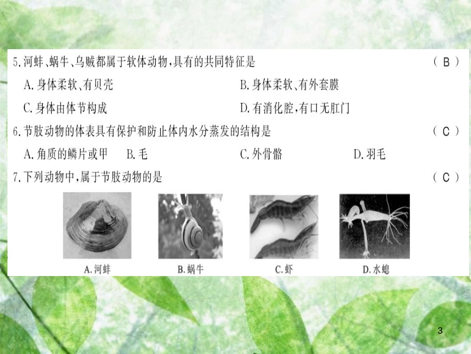 八年级生物上册 第五单元 第1章 动物的主要类群测评卷习题优质课件 (新版)新人教版_第3页