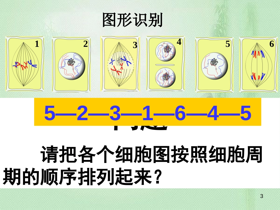 高中生物 专题6.1.2 细胞的增殖同步优质课件 新人教版必修1_第3页