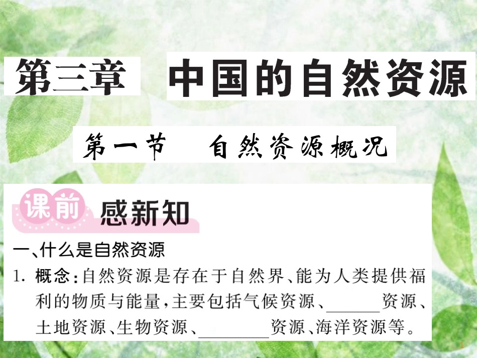 八年级地理上册 第3章 第1节 自然资源概况习题优质课件 （新版）湘教版_第1页
