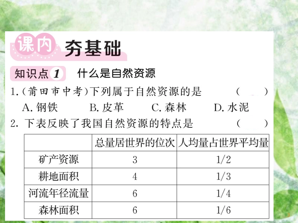 八年级地理上册 第3章 第1节 自然资源概况习题优质课件 （新版）湘教版_第3页