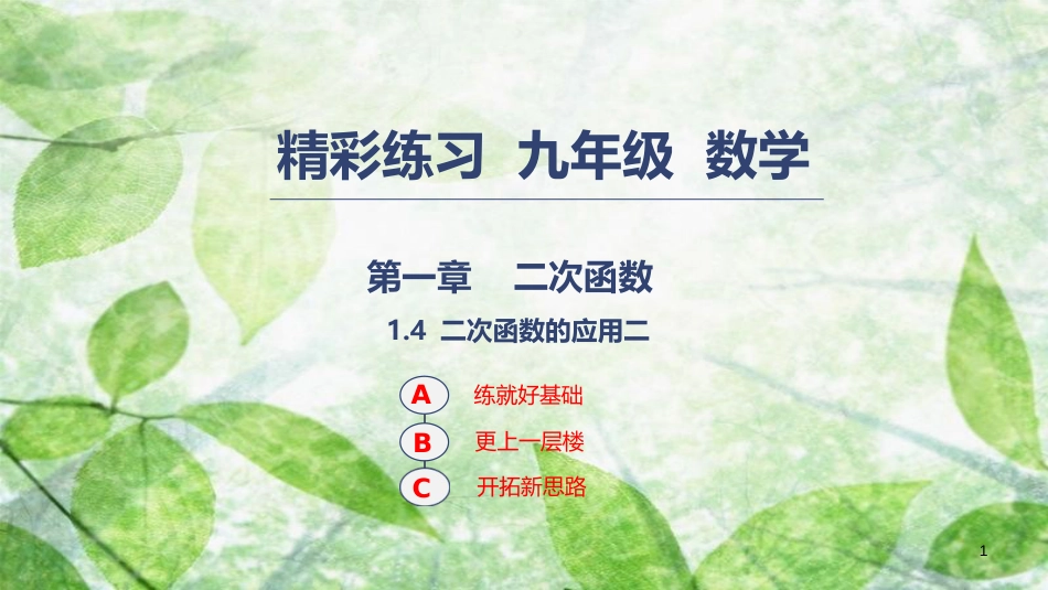 九年级数学上册 第一章 二次函数 1.4 二次函数的应用（2）优质课件 （新版）浙教版_第1页