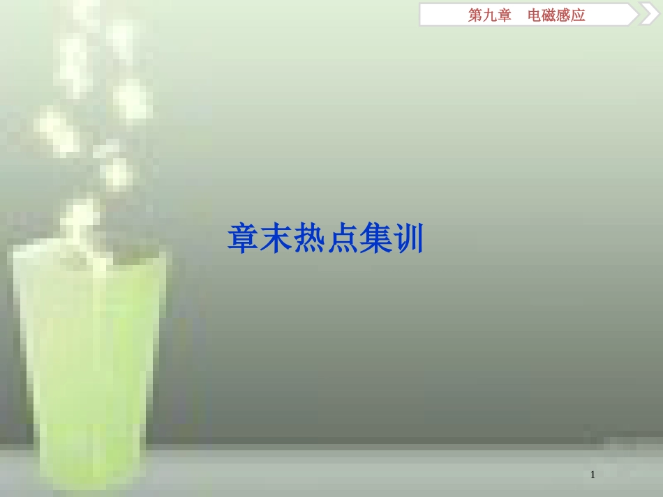 （浙江专版）2019届高考物理一轮复习 第9章 电磁感应 5 章末热点集训优质课件 新人教版_第1页