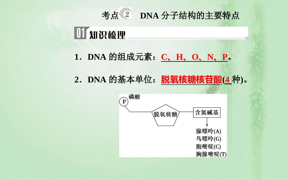高中生物学业水平复习 专题七 遗传的分子基础 考点2 DNA分子结构的主要特点优质课件_第1页
