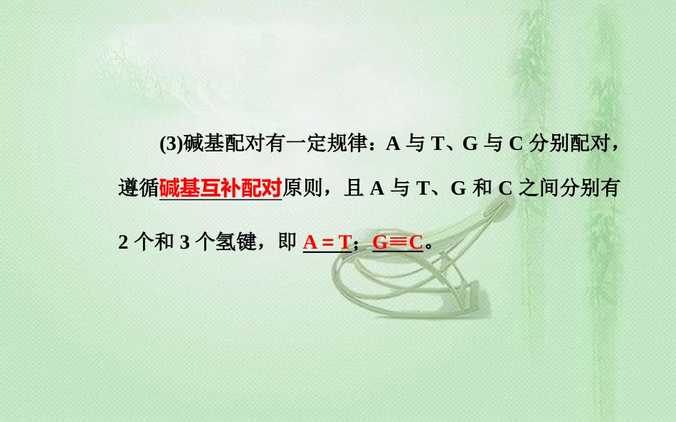 高中生物学业水平复习 专题七 遗传的分子基础 考点2 DNA分子结构的主要特点优质课件_第3页