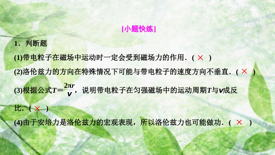 高考物理一轮复习 第九章 磁场 第二讲 磁场对运动电荷的作用优质课件_第3页