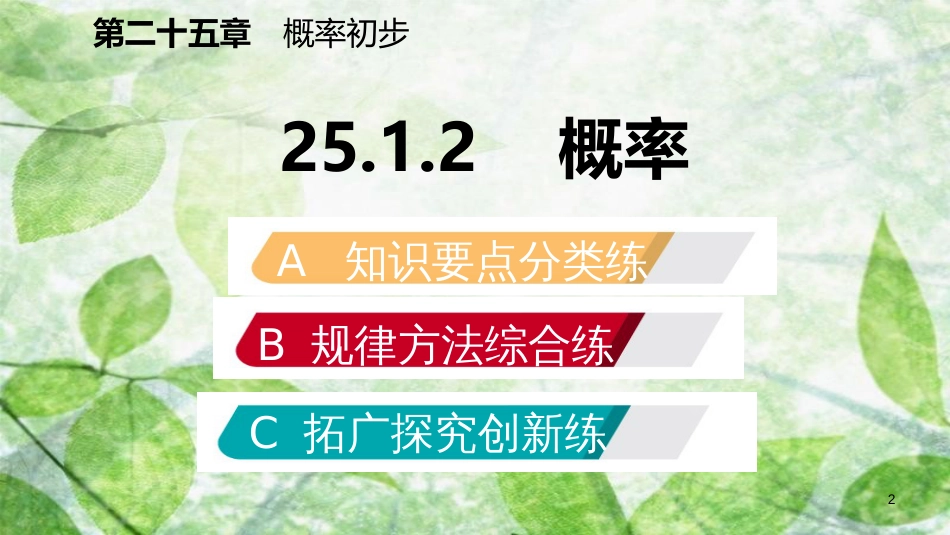 九年级数学上册 第25章 概率初步 25.1 随机事件与概率 25.1.2 概率（作业本）优质课件 （新版）新人教版_第2页