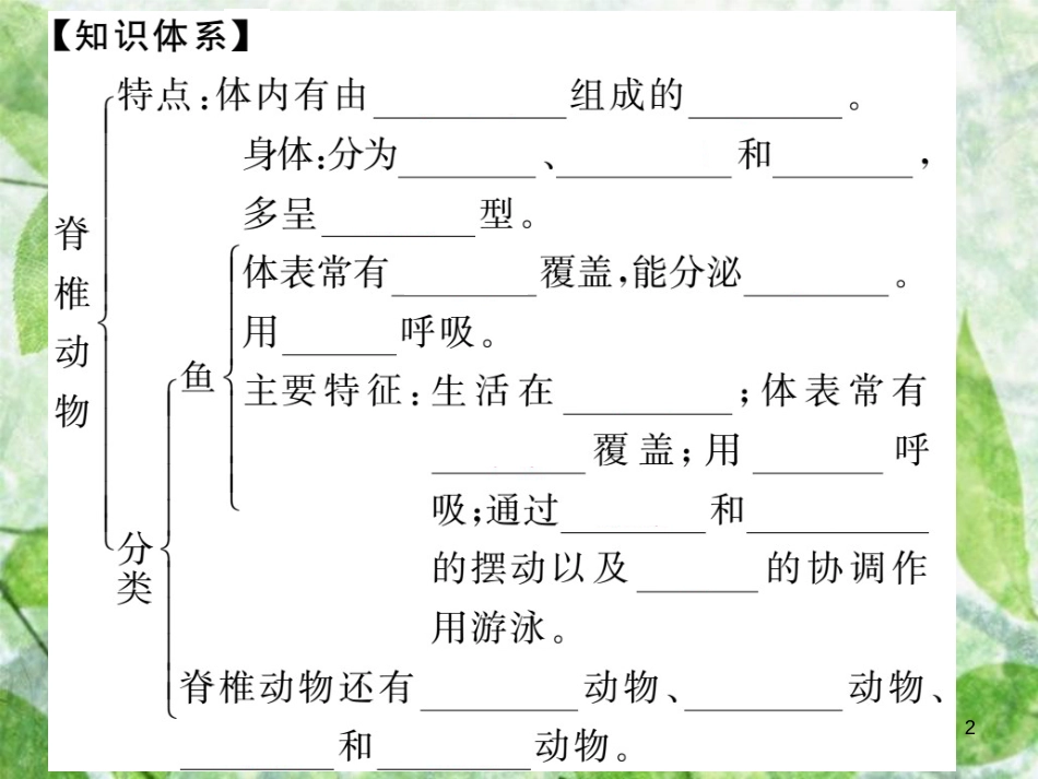 八年级生物上册 第五单元 第一章 第四节 鱼习题优质课件 （新版）新人教版_第2页