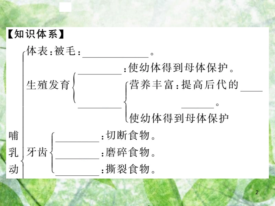八年级生物上册 第五单元 第一章 第七节 哺乳动物习题优质课件 （新版）新人教版_第2页