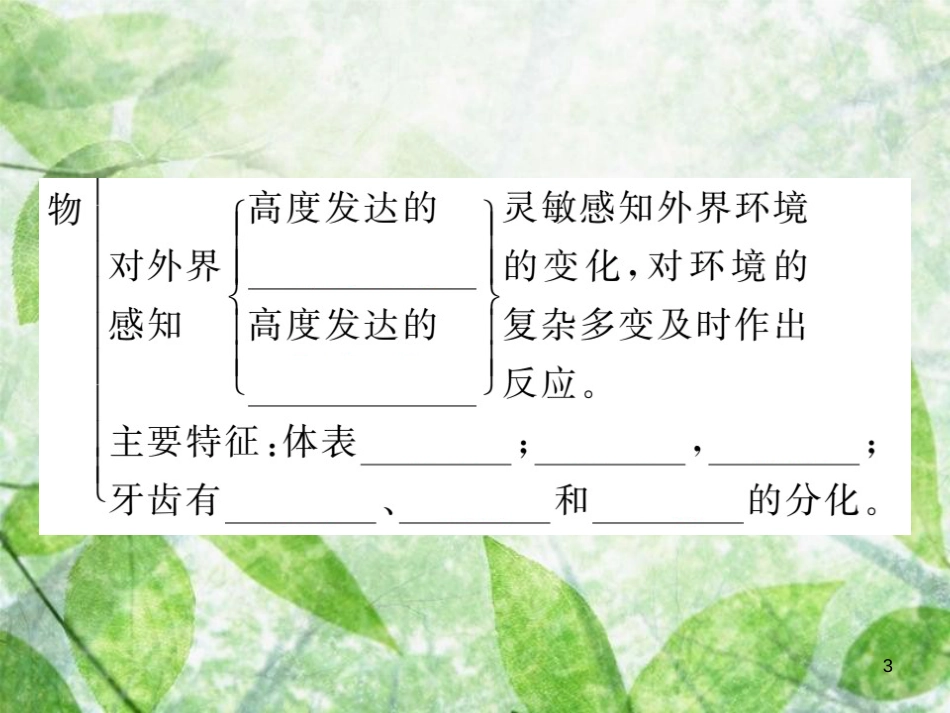 八年级生物上册 第五单元 第一章 第七节 哺乳动物习题优质课件 （新版）新人教版_第3页