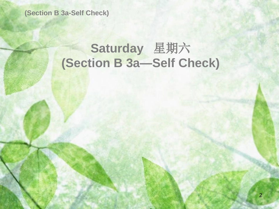 八年级英语上册 Unit 7 Will people have robots Saturday（复现式周周练）习题优质课件 （新版）人教新目标版_第2页