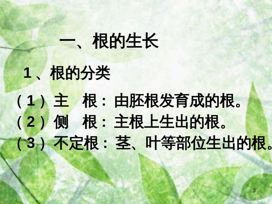 八年级生物上册 4.1.5《根的结构与功能》优质课件1 （新版）济南版_第3页